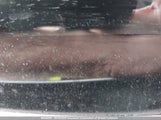 Toyota Camry 4T1BK46K27U556702 снимка