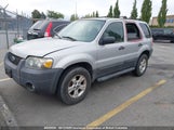 Ford Escape Xlt 1FMCU03107KB06576 снимка