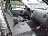 Ford Escape Xlt 1FMCU03107KB06576 снимка