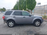Ford Escape Xlt 1FMCU93158KB60929 снимка