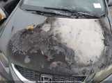 Honda Civic Lx 2HGFB2E44DH011887 снимка