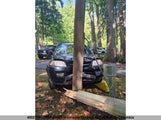 Acura Mdx 2HNYD18633H004138 снимка