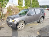 Ford Escape Xlt 1FMCU9D73BKA84329 photo