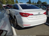 Hyundai Sonata Se 5NPE24AF8FH098006 снимка