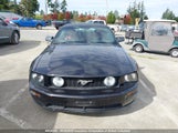 Ford Mustang Gt 1ZVFT85H665103611 снимка