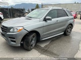 Mercedes-Benz Ml 350 4Matic 4JGDA5HB7CA020645 снимка