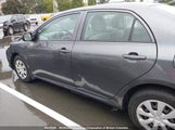 Toyota Corolla S/Le/Xle 2T1BU4EE2AC356725 снимка