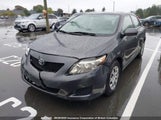 Toyota Corolla S/Le/Xle 2T1BU4EE2AC356725 снимка