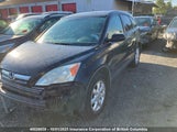 Honda Cr-V 5J6RE48779L804285 снимка