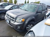 Ford Escape Xlt 1FMCU0DG1BKA76774 fotografie