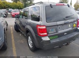 Ford Escape Xlt 1FMCU0DG1BKA76774 снимка