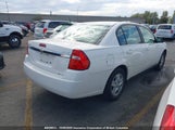 Chevrolet Malibu Ls 1G1ZT52885F251750 photo