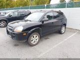 Hyundai Tucson Gls KM8JM12B09U111677 снимка