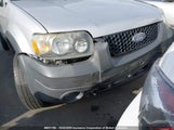 Ford Escape Xlt 1FMYU03155KA06587 снимка