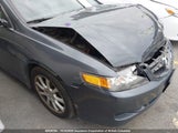 Acura Tsx JH4CL96806C802981 снимка