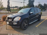Mercedes-Benz Gl 4JGBF25E39A482540 снимка