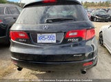 Acura Rdx 5J8TB18587A803545 снимка