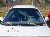 Hyundai Accent Gs KMHCG35C05U333811 снимка