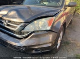 Honda Cr-V 5J6RE4H7XBL812385 снимка