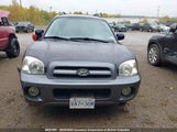 Hyundai Santa Fe KM8SB73D55U991508 снимка