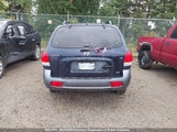 Hyundai Santa Fe KM8SB73D55U991508 снимка