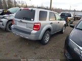 Ford Escape Xlt 1FMCU93168KA01725 снимка
