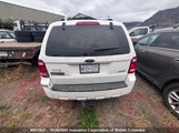 Ford Escape Xlt 1FMCU93158KD47362 снимка