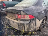 Acura Tsx JH4CL96808C800117 снимка