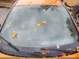 Ford Fiesta St 3FADP4GXXHM123133 снимка