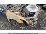Toyota Camry 4T1B21HK1KU516115 fotografie