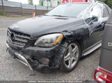 Mercedes-Benz Ml 350 Bluetec 4JGDA2EB2FA450039 снимка