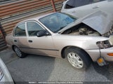 Toyota Corolla 2T1AE04EXPC009994 снимка