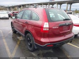 Honda Cr-V Lx 5J6RE383X7L800137 fotografie