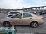 Toyota Corolla Ce/Le/S 2T1BR32E35C913678 снимка
