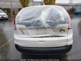 Honda Cr-V 2HKRM4H72DH115115 снимка