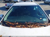 Toyota Corolla L/Le/Xle/Se/Xse 2T1BURHE7JC077358 photo