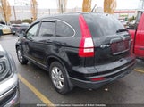 Honda Cr-V 5J6RE4H33AL812255 снимка