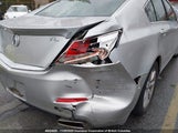 Acura Tl 19UUA8F58EA800239 снимка