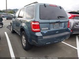 Ford Escape Xlt 1FMCU0DG7BKA29751 photo