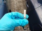 Mazda 3 Sport JM1BN1K77J1182687 снимка