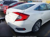 Honda Civic Lx 2HGFC2F50HH005689 снимка