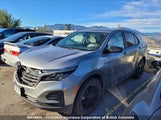 Chevrolet Equinox Ls 3GNAXSEG6PL188772 снимка
