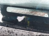 Acura Rsx JH4DC54655S802669 снимка