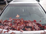 Acura Tl 19UUA66274A803514 снимка