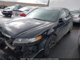 Acura Tl Type S 19UUA76567A802262 снимка