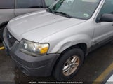 Ford Escape Xls 1FMYU02Z46KB54884 снимка