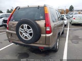 Honda Cr-V JHLRD78902C816573 fotografie