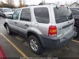 Ford Escape Xlt 1FMYU93115KE38937 снимка