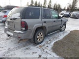 Chevrolet Trailblazer Ls/Lt 1GNDT13S152140489 снимка