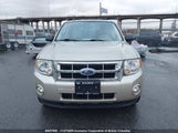 Ford Escape Xlt 1FMCU0D7XBKC07345 снимка